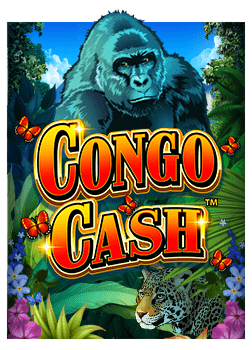 มาสนุกกับทาง เข้า joker 09 ทดลองเล่นได้เลย!